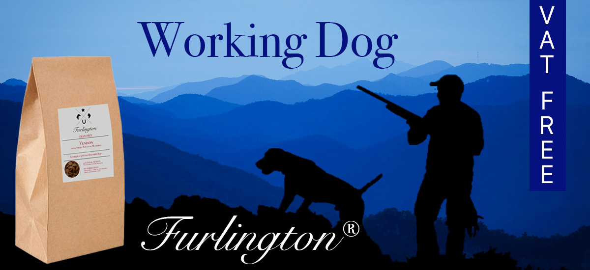 Working Dog Banner