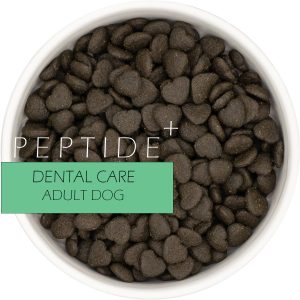 Peptide + - Dental Care