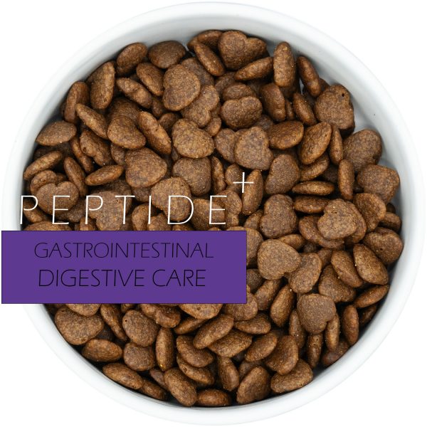 Peptite + - Gastrointestinal Digestive Care